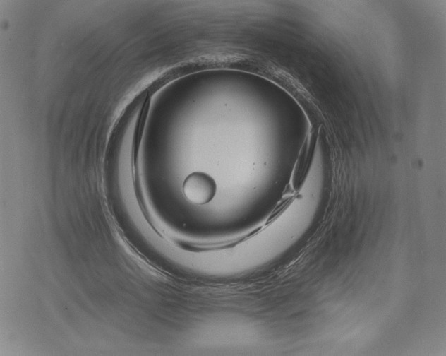 X0000073450726200608041027