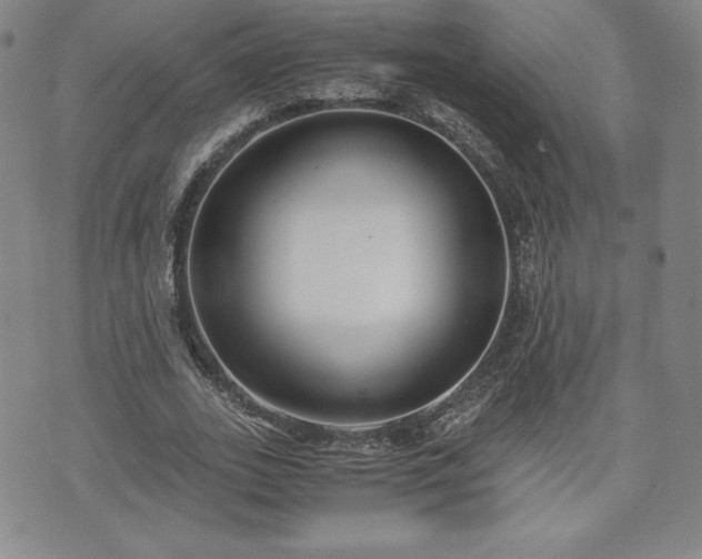 X0000073450727200608041027