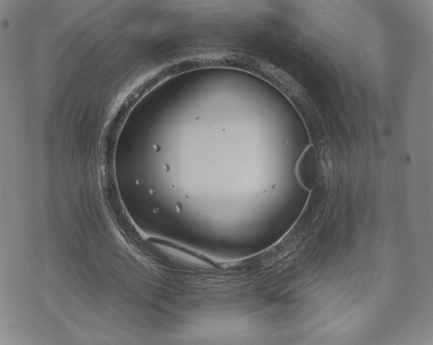 X0000073450728200608041027