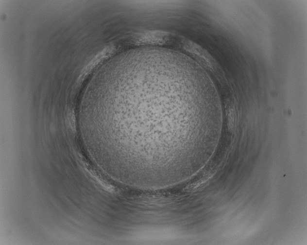 X0000073450729200608041027