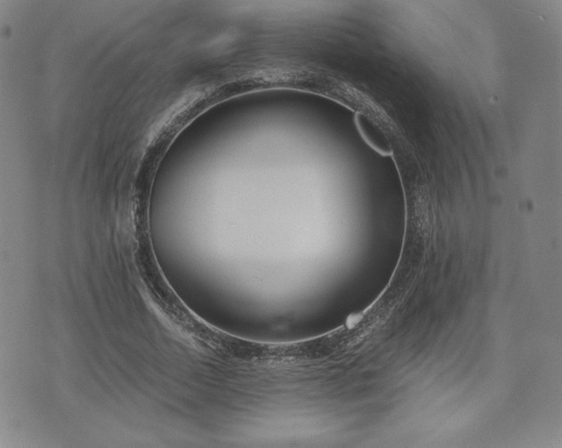 X0000073450730200608041027