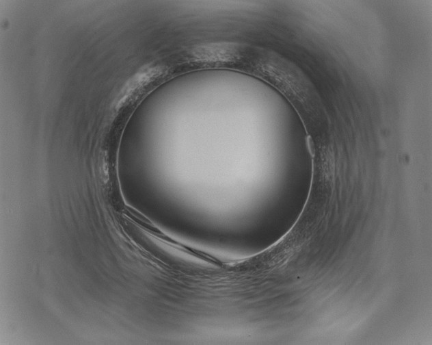 X0000073450731200608041027