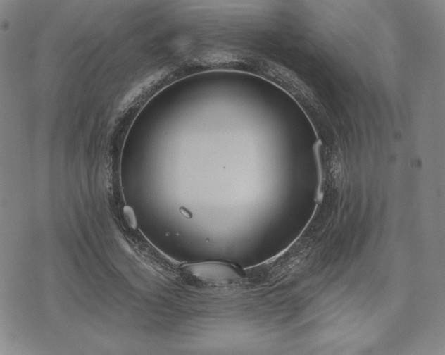 X0000073450732200608041027