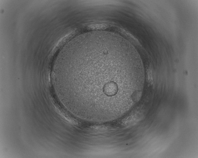 X0000073450733200608041027