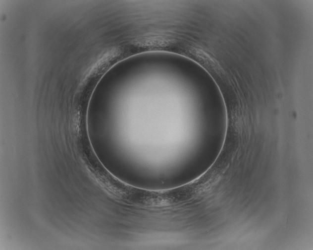 X0000073450735200608041027