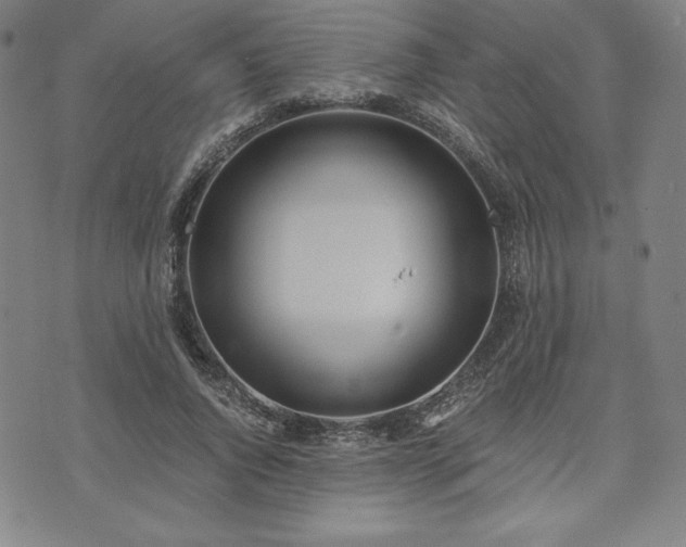 X0000073450736200608041027