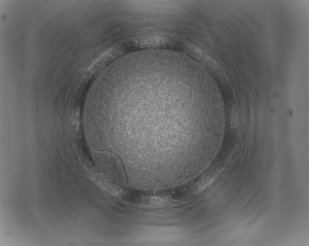 X0000073450737200608041027