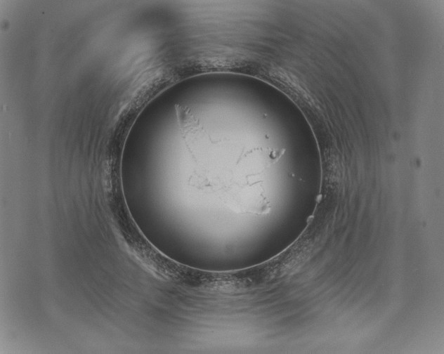 X0000073450738200608041027