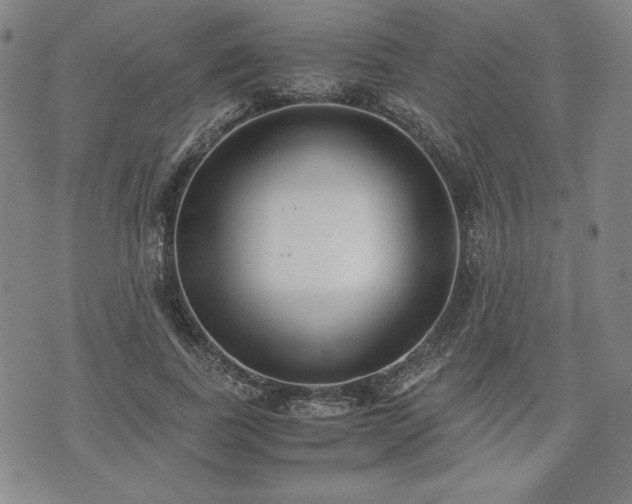 X0000073450739200608041027