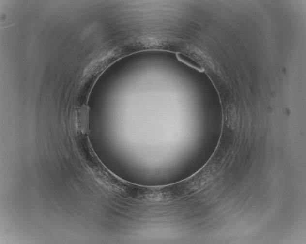 X0000073450740200608041027