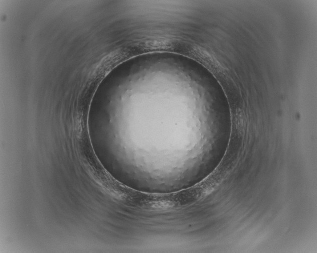 X0000073450741200608041027