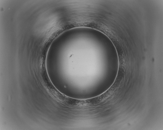 X0000073450742200608041027