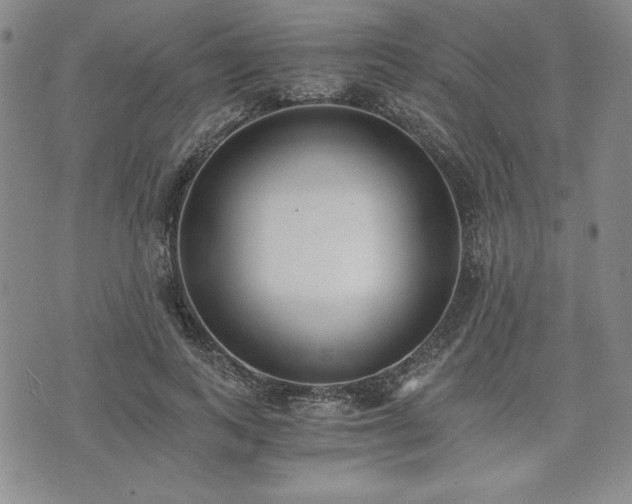 X0000073450743200608041027