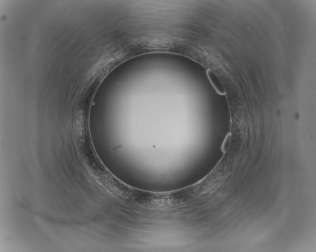 X0000073450744200608041027