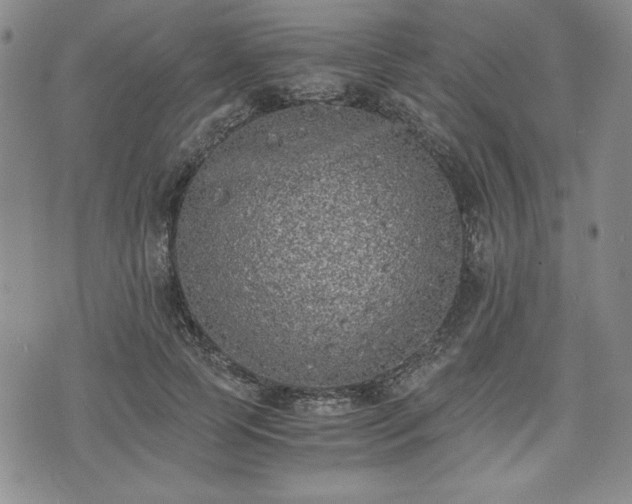 X0000073450745200608041027