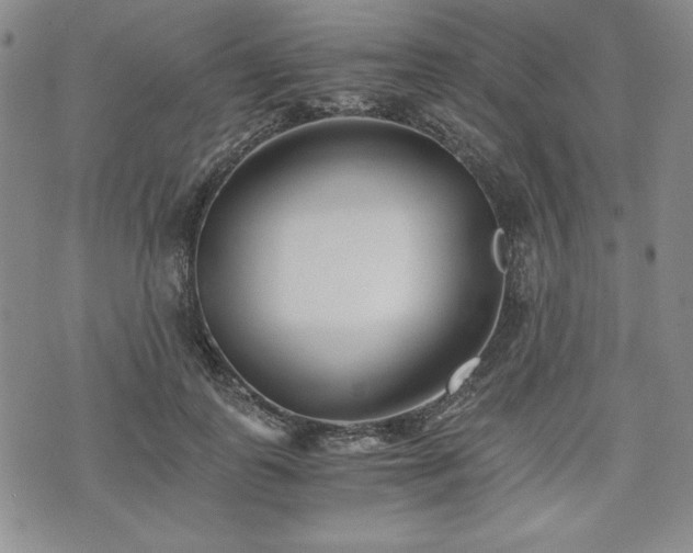 X0000073450747200608041027