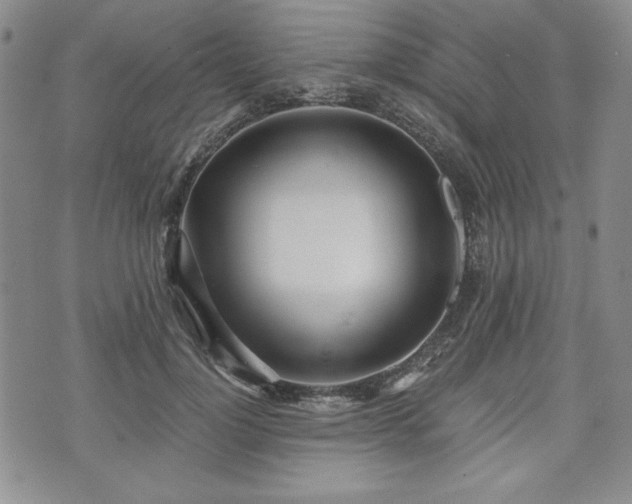 X0000073450748200608041027