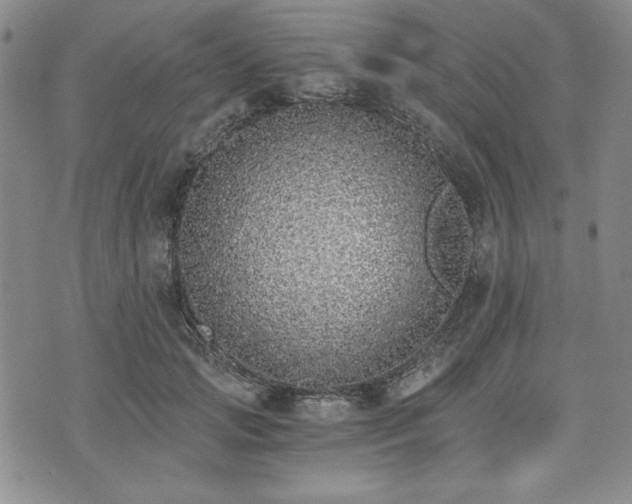 X0000073450749200608041027