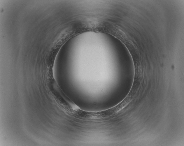 X0000073450750200608041027