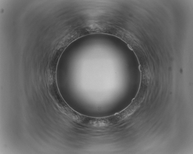 X0000073450751200608041027