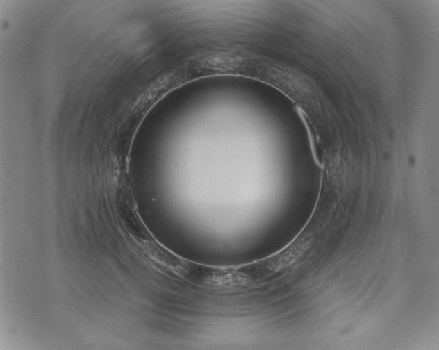 X0000073450752200608041027