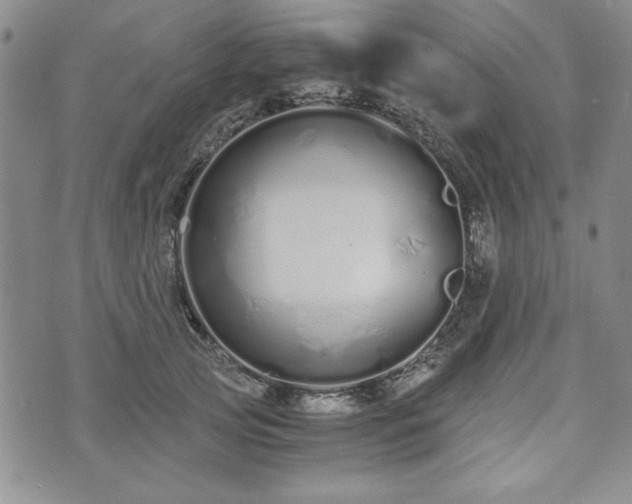 X0000073450753200608041027