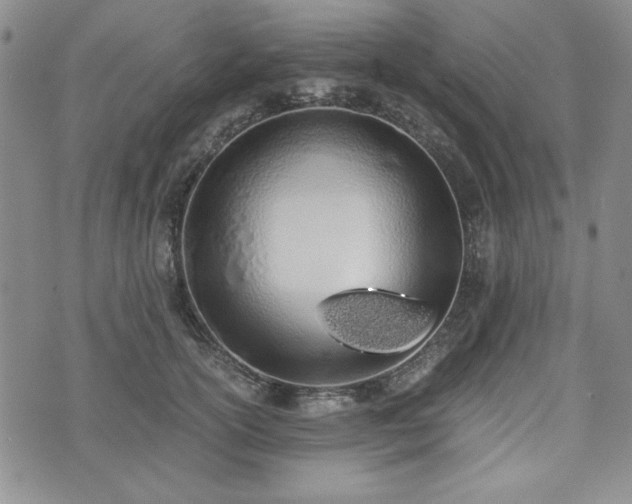 X0000073450754200608041027