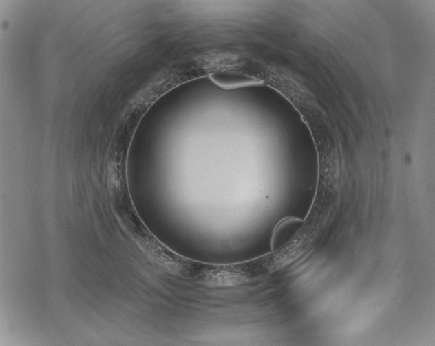 X0000073450755200608041027