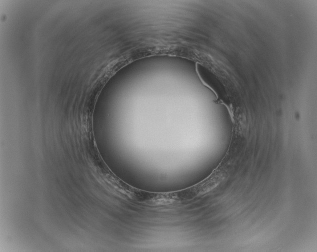 X0000073450756200608041027