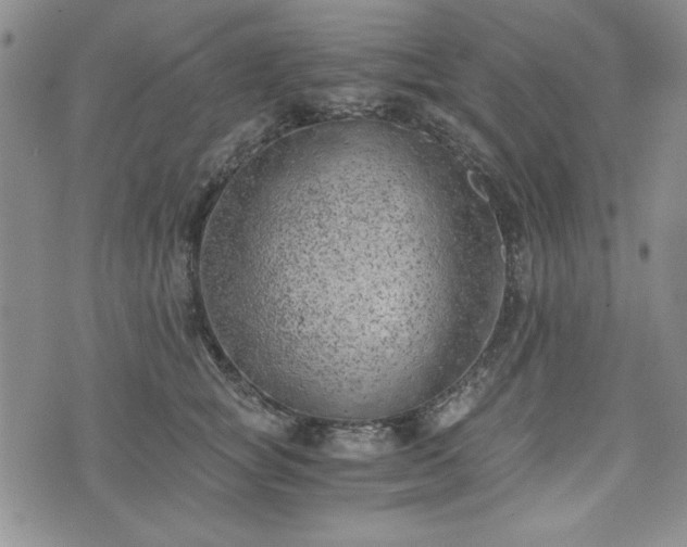 X0000073450757200608041027