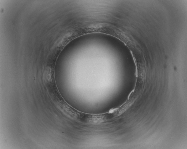 X0000073450758200608041027