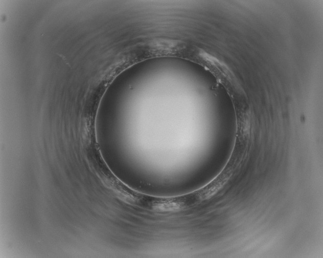 X0000073450759200608041027