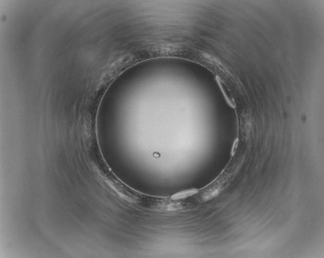 X0000073450760200608041027