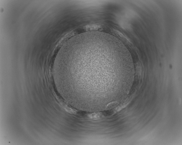 X0000073450761200608041027