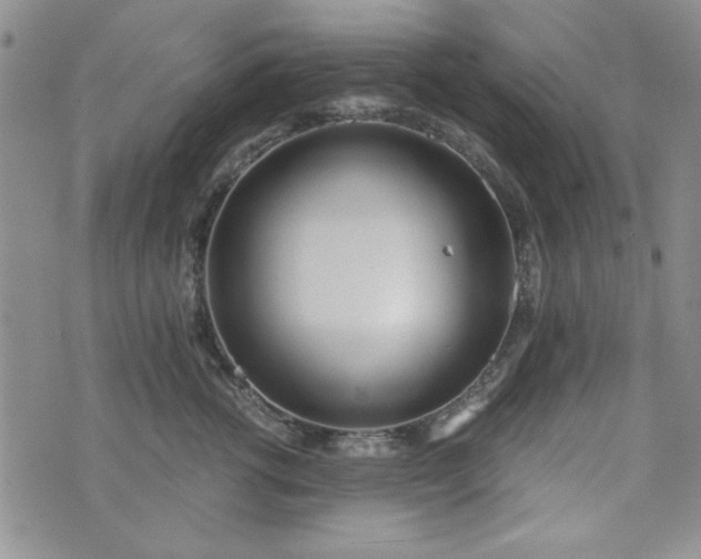 X0000073450762200608041027