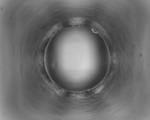 X0000073450763200608041027