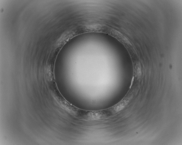 X0000073450764200608041027