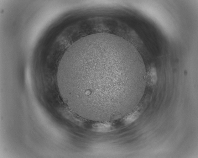 X0000073450765200608041027