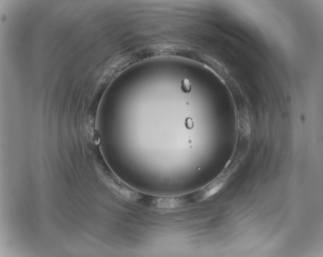 X0000073450766200608041027