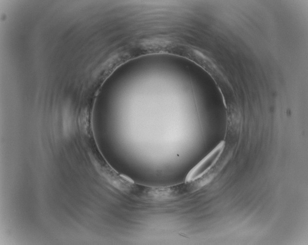 X0000073450767200608041027