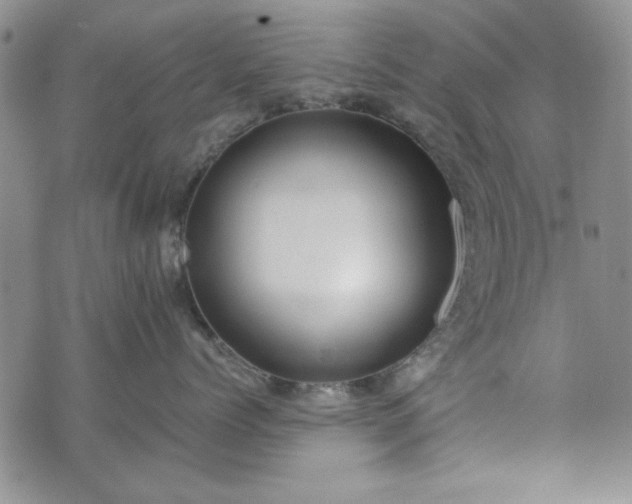 X0000073450768200608041027