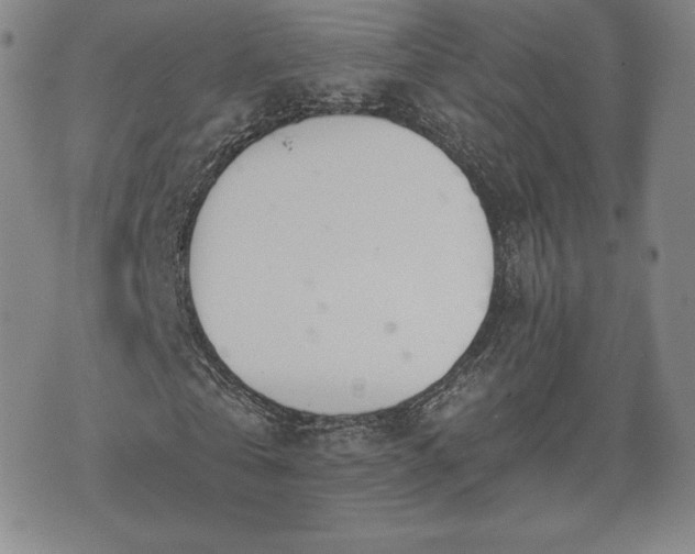 X0000073450769200608041027