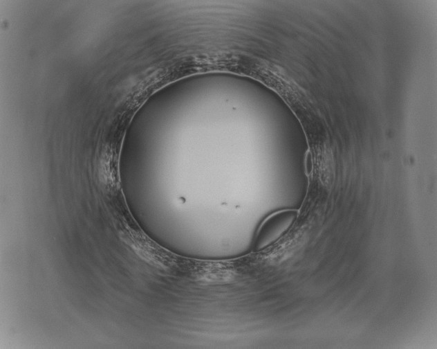 X0000073450770200608041027