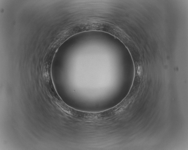 X0000073450771200608041027