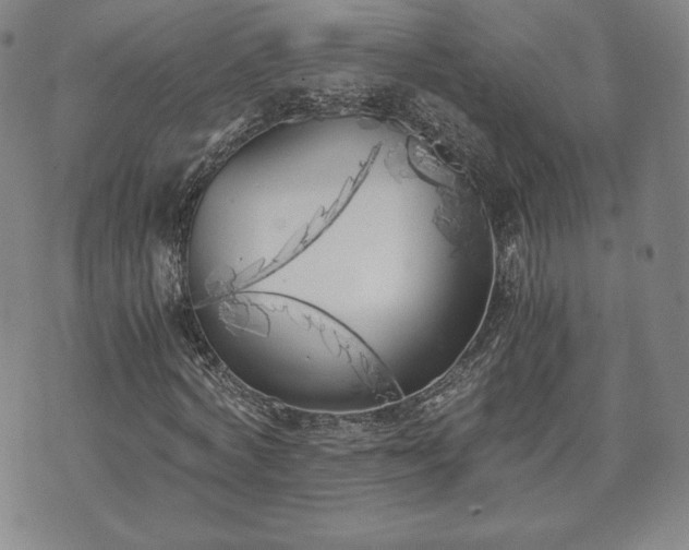 X0000073450772200608041027