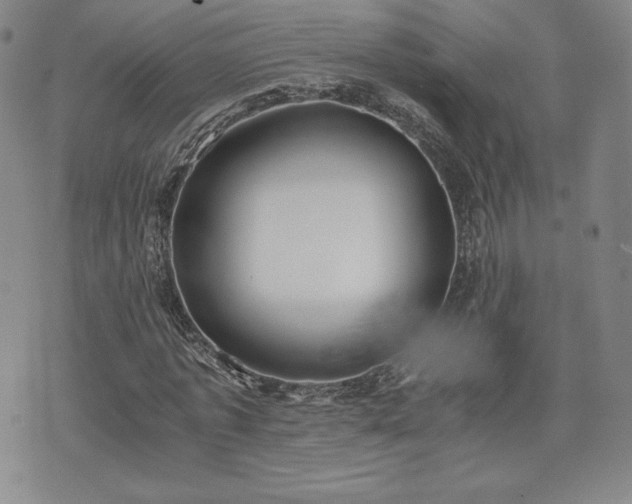 X0000073450773200608041027