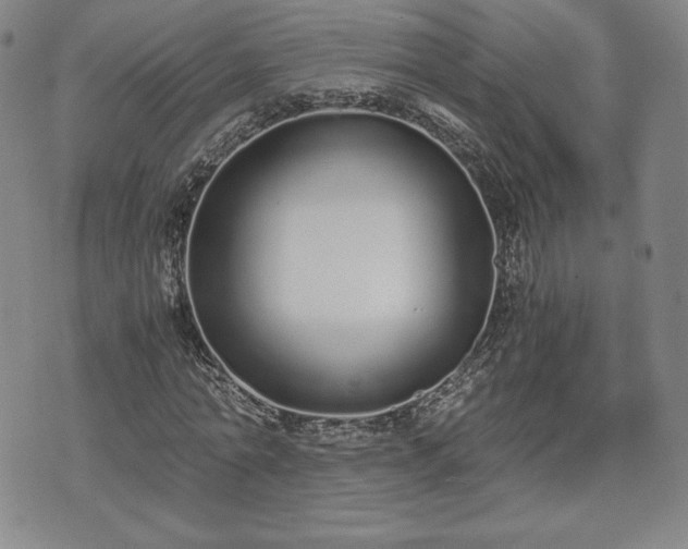 X0000073450774200608041027