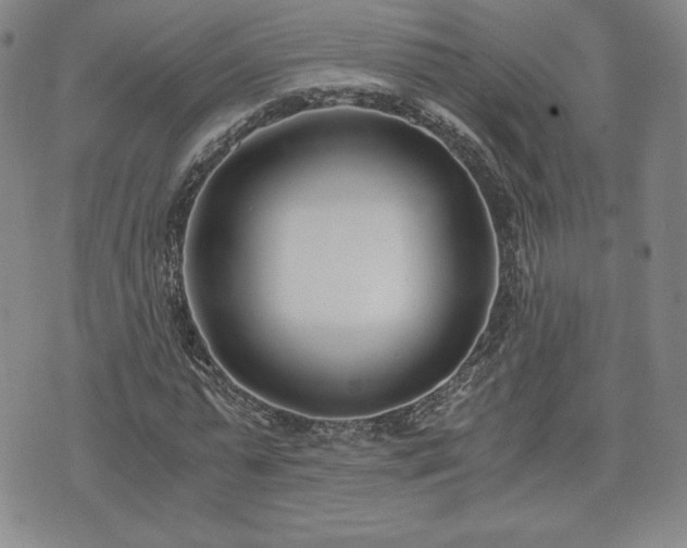 X0000073450775200608041027