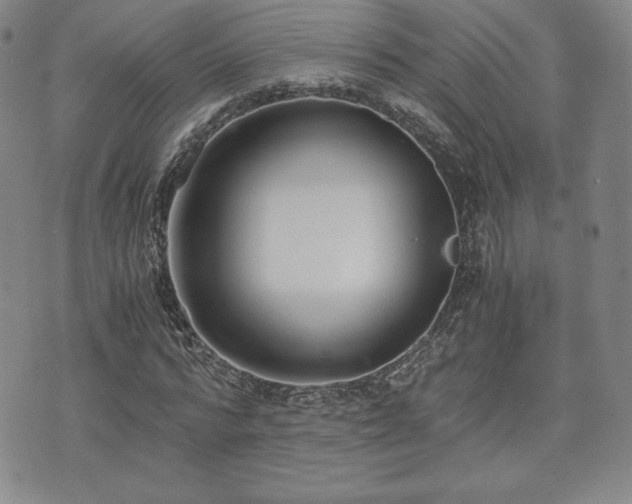 X0000073450776200608041027