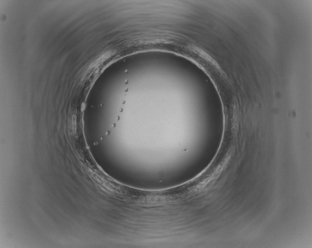 X0000073450777200608041027